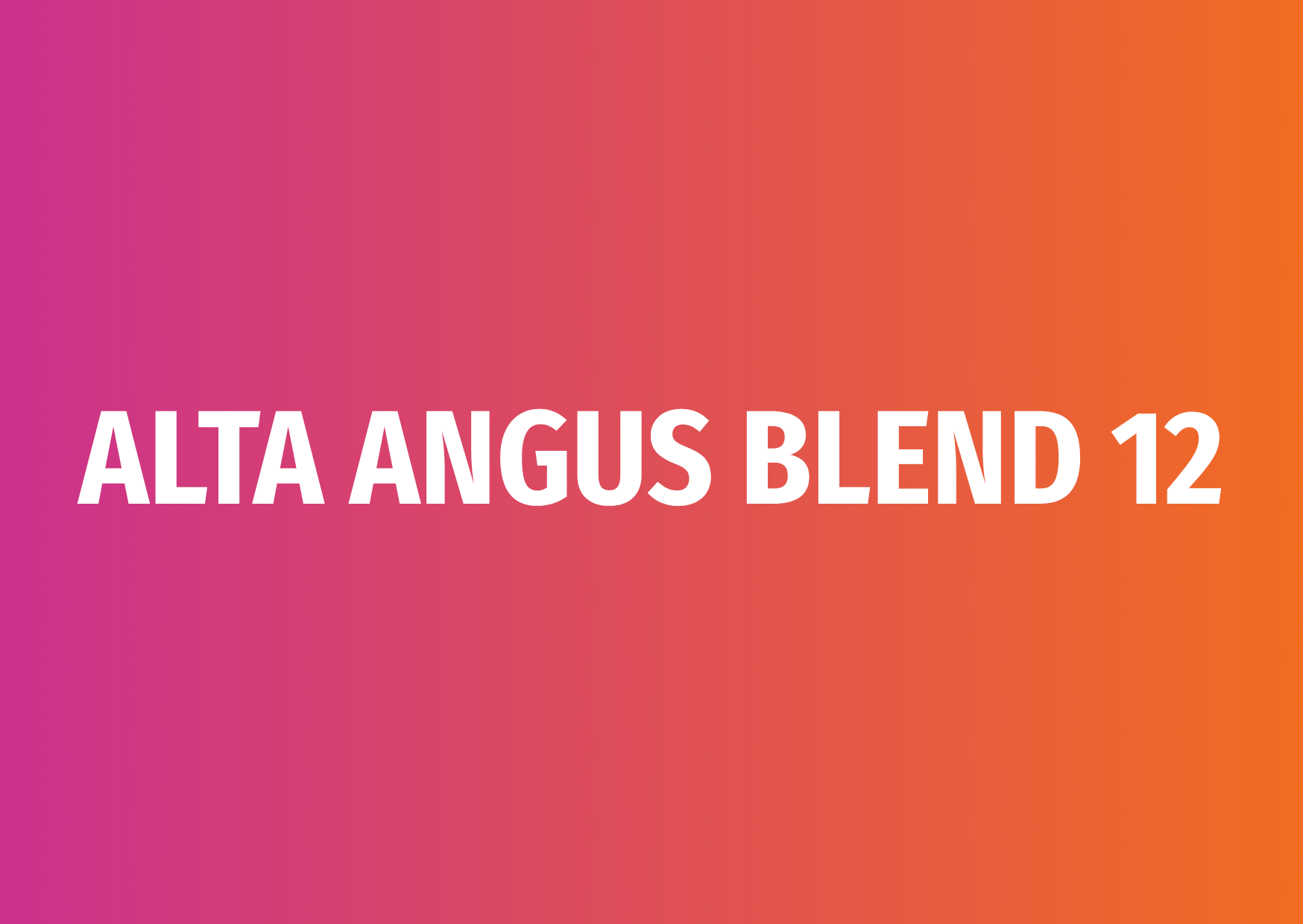 ALTA ANGUS BLEND 12 ALTA ANGUS BLEND 12