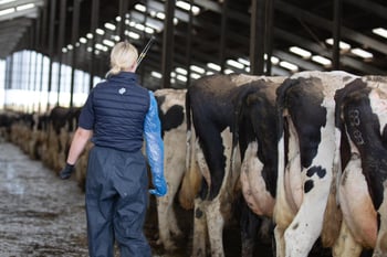 Reproductive success in five fundamental steps