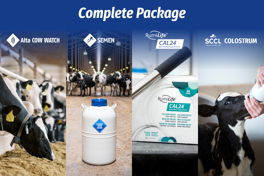 complete package-1