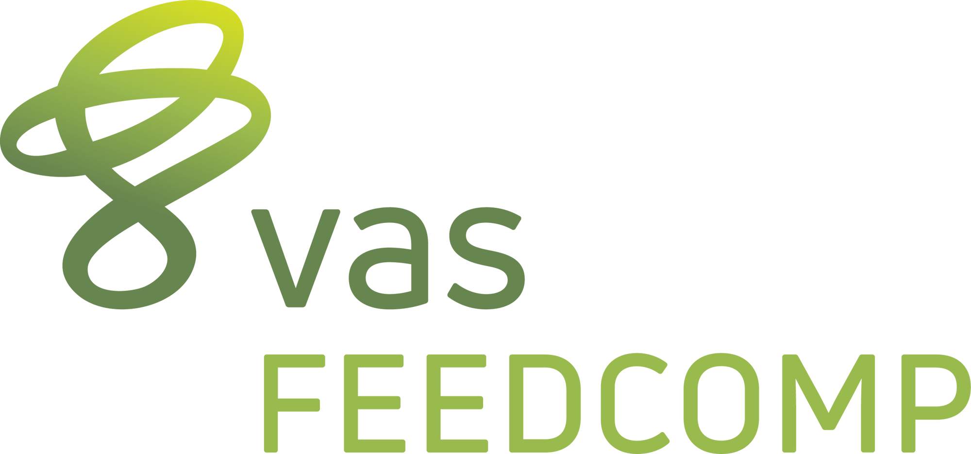 VAS_FC_rgb (1)