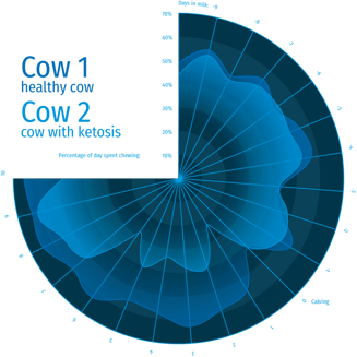 Chart showing eating time of two cows
