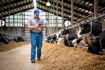 Save Time & Money with Automated Activity Monitoring