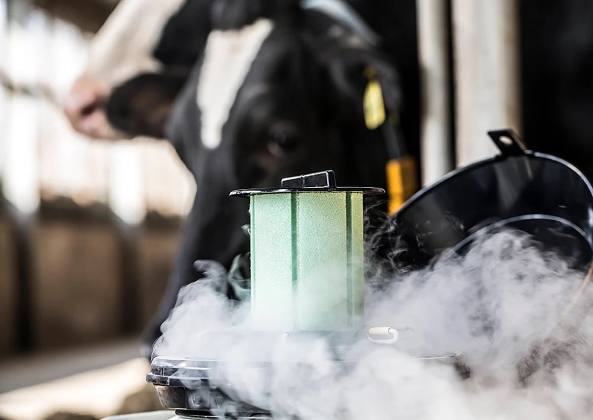 Nitrogen Fog with Semen Tank